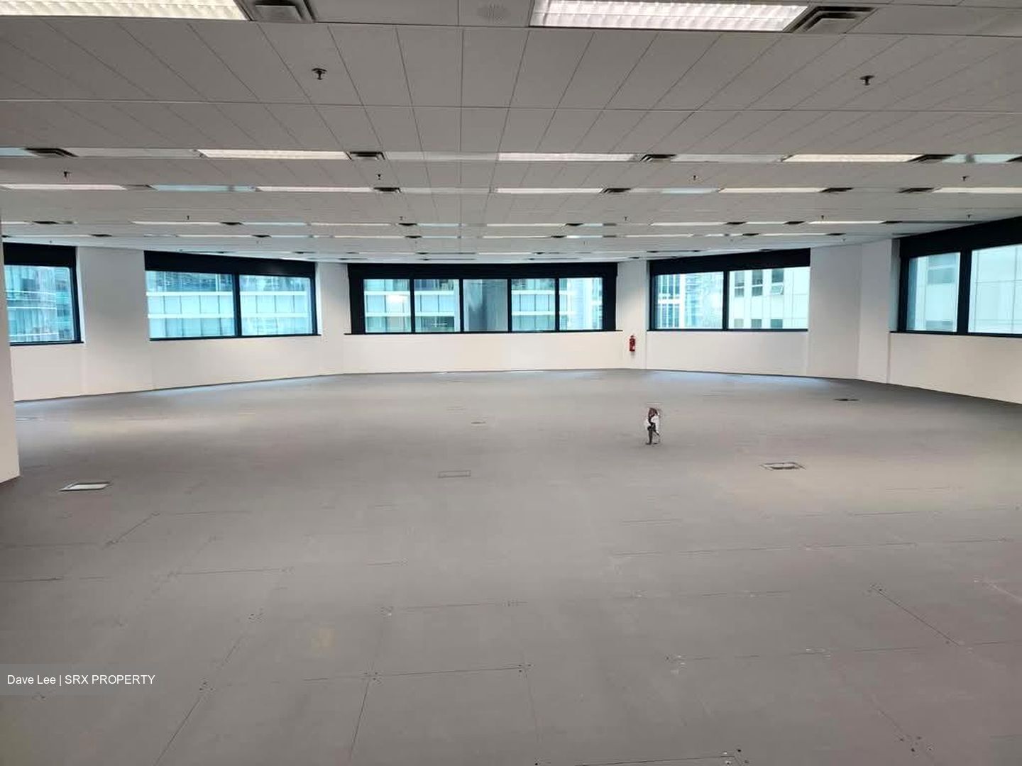 Robinson 77 (D1), Office #576577031